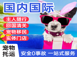 阿克苏红旗坡机场邮寄国际宠物托运 【国